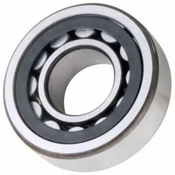One Way Original Germany Cylindrical Roller Bearing N NU NJ NUP 202 203 2203 303 204 2204 304 ECP Bearing With High Quality